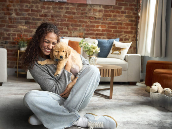 Unlocking a Dog's Devotion: A Guide to Responsible Canine Companionship
