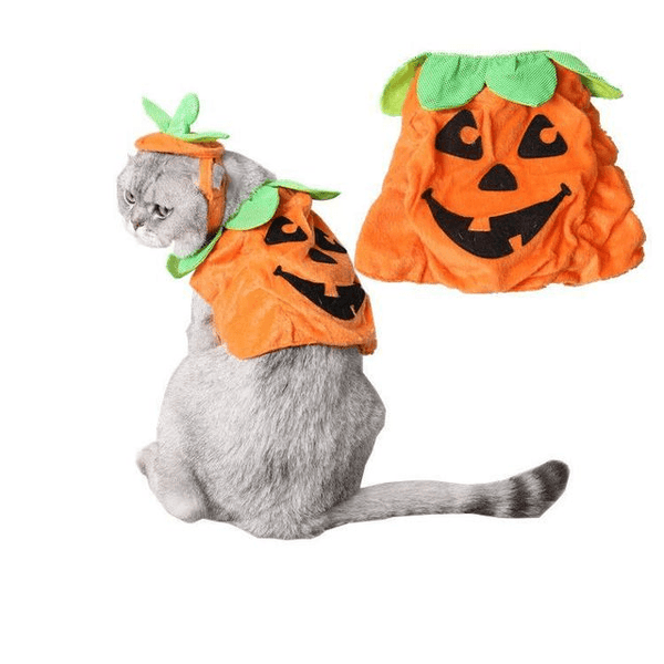 Pet Pumpkin Leaf Costume - Creative Halloween Cat Cosplay Clothing-2