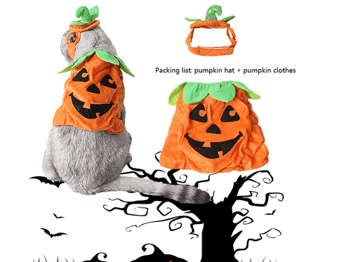 Pet Pumpkin Leaf Costume - Creative Halloween Cat Cosplay Clothing-5