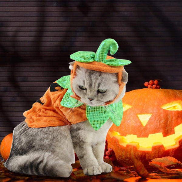 Pet Pumpkin Leaf Costume - Creative Halloween Cat Cosplay Clothing-4