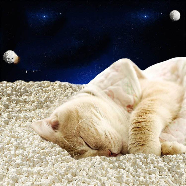 Tofu Fresh Scented Space Litter-1