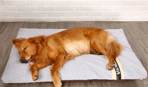 Plush Pet Bed - ellefancypets.com