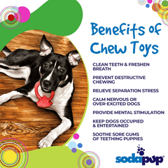 Durable Diamond Ring Teething Toy for Aggressive Chewers-4