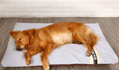 Plush Pet Bed - ellefancypets.com