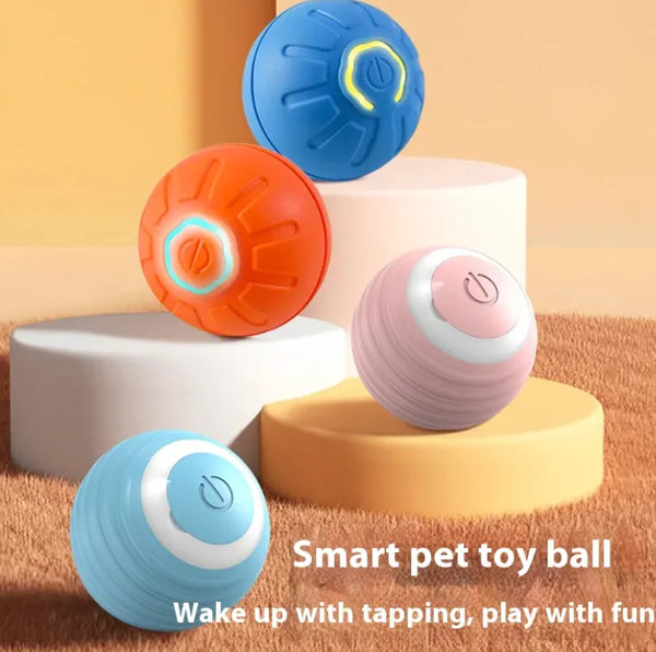 Smart Dog Toy Ball - ellefancypets.com