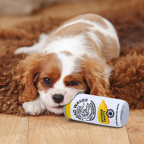 Wholesale Customizable Pet Sounding Toy Cans-0