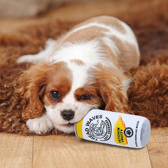 Wholesale Customizable Pet Sounding Toy Cans-0