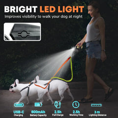 Retractable Dog Leash - Walk Two Dogs, Zero Tangles. - ellefancypets.com